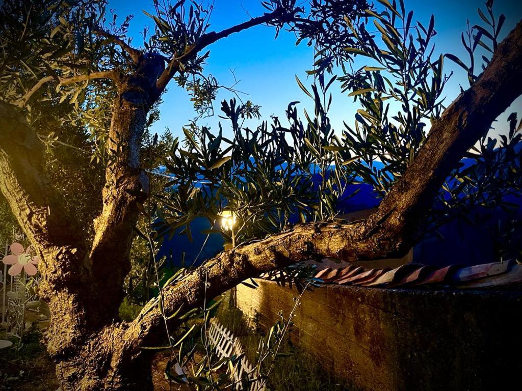 La Casina Di Venere Ξενοδοχείο Savoca Εξωτερικό φωτογραφία